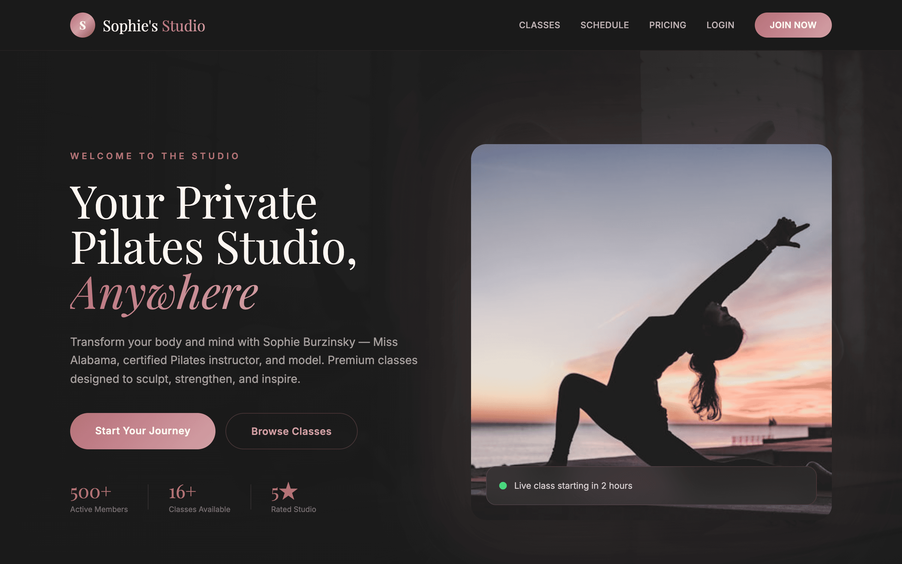Sophie's Studio — screenshot